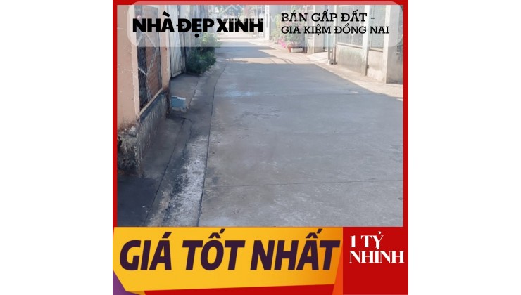 Nhà Kẹt Tiền Cần Bán Đất Thổ Cư Gấp, Gia Kiệm Đồng Nai 5.5*20m, Nhỉnh 1TỶ